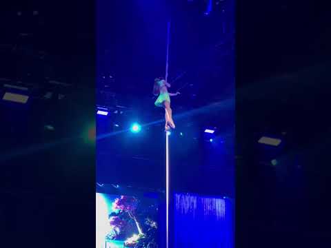 Aerial Rope Little Mermaid 🧜‍♀️ #disney #disneycharacter #figureskating #fypシ゚viral #disneymovie