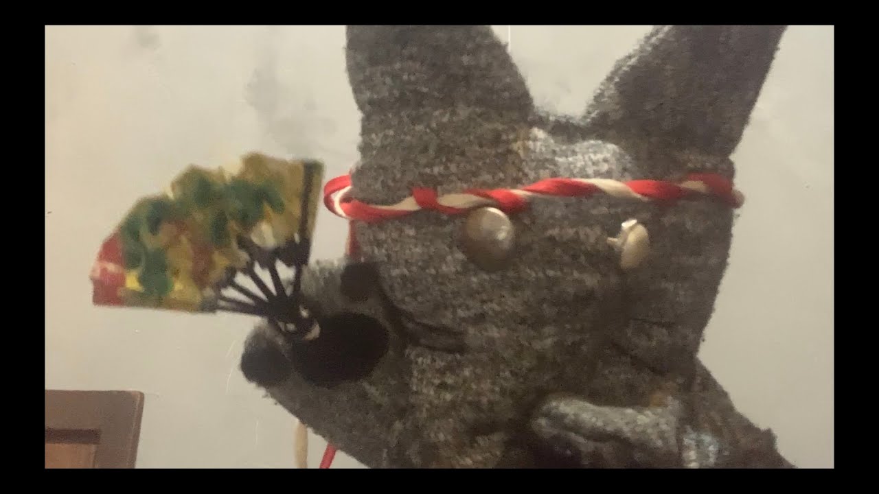 正月の猫　お参り行った