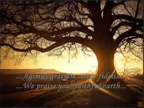 Solyma | Terra Fidelis