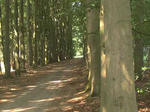 Pieterpad etappe 13 Laren naar Vorden