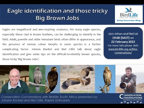Conservation Conversations: Johann Knobel & Niel Cillié - Identifying Africa’s Eagles (22Feb22)