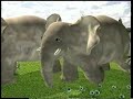Teletubbies Animals Parade Speed Up Slowed Down