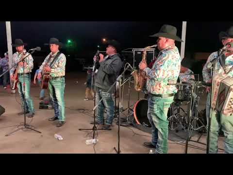 Palomita Blanca - Vencedores Del Bravo