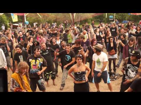 Psycrowdelica 2014 Megalopsy and Frantic Noise part 8