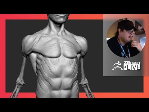 Enter the ZBHO Dojo: Anatomy Critiques - Spicer McLeroy - ZBrush 2021.6
