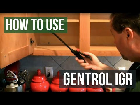 How to use Gentrol IGR Insecticide Growth Regulator