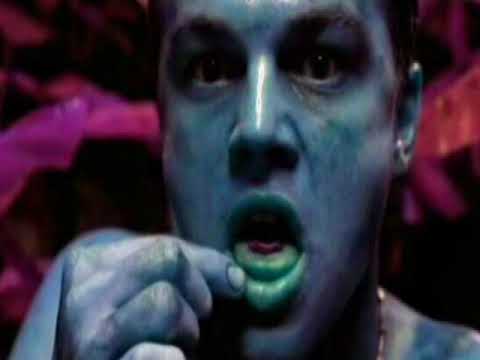 KanuaK vs Minimoonstra - The Beach ⚡ (VJ / Psytrance Guitar)