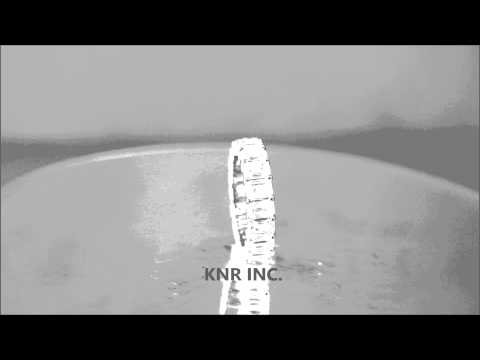 18K WHITE GOLD EMERALD CUT ETERNITY DIAMONDS BAND ANNIVERSARY 5.50CTW - KNR INC - 527