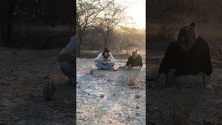 Coletando fósseis ao entardecer do sertão