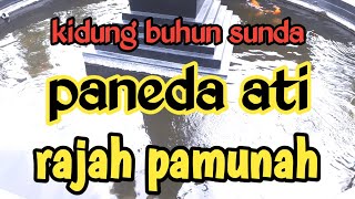 Download lagu kidung buhun sunda rajah pamunah rasa paneda ati mp3