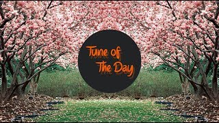 [Future Bass] Jai Wolf ~ Starlight ft. Mr Gabriel (Anki Remix)