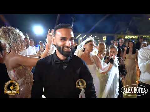 Alex Botea - Gipsy Rock🔥Live🔥Nunta Alexandra & Liviu Moise🔥by👍🏻Ionut Jianu🔔®