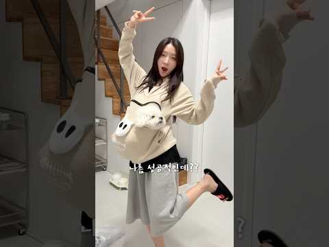 견주들이 이거 무조건 환장함 ㄷㄷ