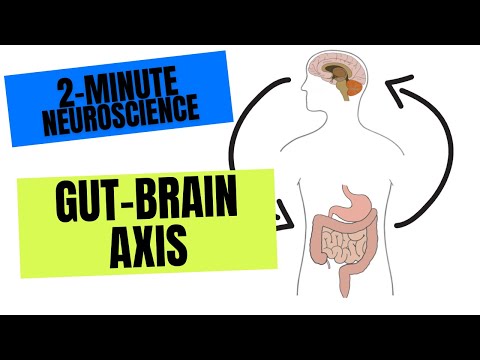 2-Minute Neuroscience: Gut-Brain Axis