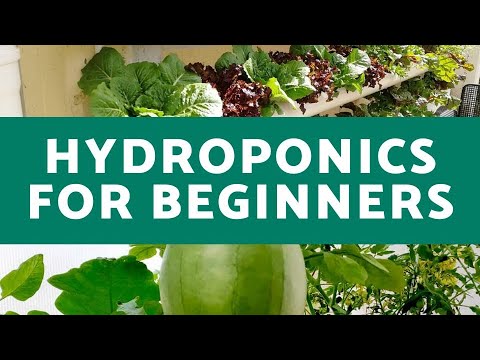 , title : 'Hydroponics for Beginners | Everything You Need to Know for Successful Hydroponic Growth'