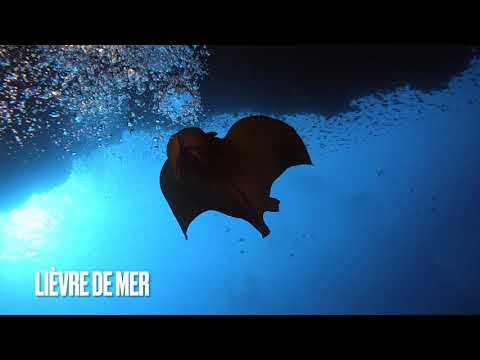 Sicilia : Palermo, Isola de Ustica - Sept 2021