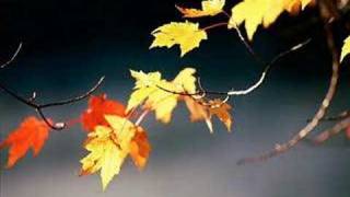 Alexz Johnson - Skips