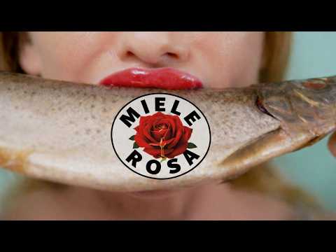 DallasRecordsTV and Let 3