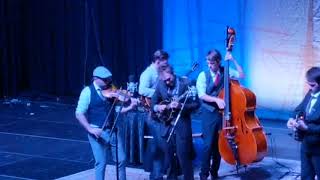 The Punch Brothers The Jungle Bird