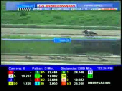 6TA CARRERA DOMINGO 29 ABRIL LA RINCONADA AUDIOHIPISMO