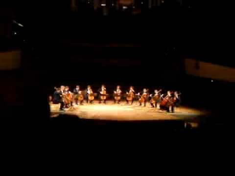 12 Cellists of the Berlin Philharmonic  play  PINK PANTHER