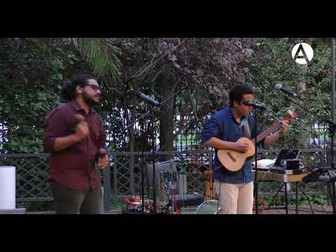 El tuyero ilustrado, El aguacate