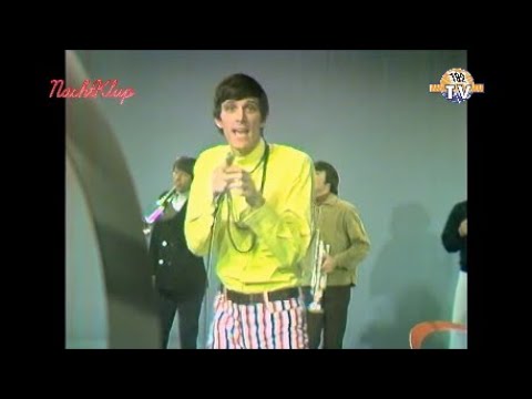 NEW * Judy In Disguise (With Glasses) - John Fred & His Playboy Band {Stereo} 1967