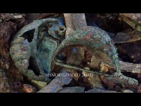 La fanciulla nata con Roma The woman born with Rome: Tomb 359 inside the trunk of a tree (manortiz)