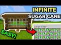 YOU NEED TO MAKE THIS EASIEST AUTOMATIC SUGAR CANE FARM for Minecraft Bedrock and Java 26.1+