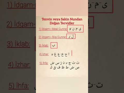 Tajweeds Born from Tanwin or Calm Nun#tajweed #learnquran #quran #quran #idgam #education