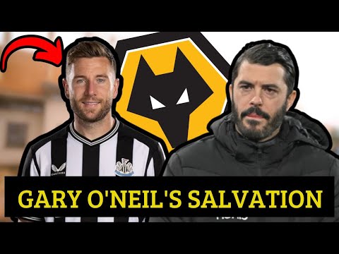 🟡⚫WOLVES HAVE TWO NEW SIGNINGS? TODAY'S LATEST NEWS