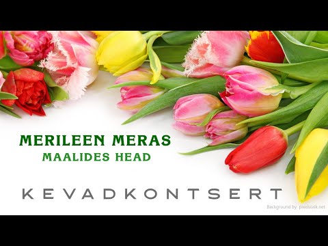 Merileen Meras - Maalides head