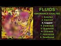 Fluids - Ignorance Exalted FULL ALBUM (2020 - Deathgrind)