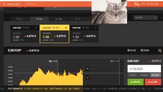 【FX】2万円負けたのでデモで練習して取り返す【BO】