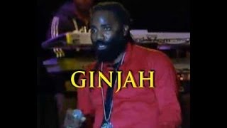 Download lagu GINJAH - Live at Rebel Salute 2014 mp3 Download lagu GINJAH - Live at Rebel Salute 2014 mp3