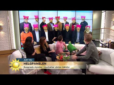 Helgpanelen: ”Byggnads skulle kunna haft dumstrutar på sig istället” - Nyhetsmorgon (TV4)