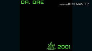 Dr. Dre Fuck You (ft. Devin The Dude &amp; Snoop Dogg) Audio