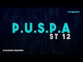 ST 12 PUSPA Karaoke Version