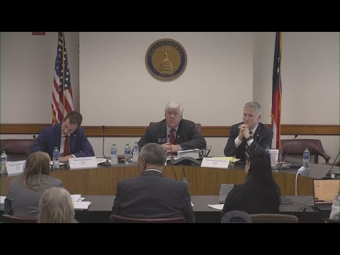 Fani Willis investigation Georgia Senate hearing | Part 2