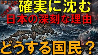 海外から感じる日本 内部崩壊から「沈没」へ