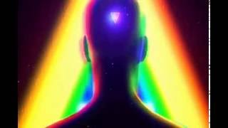 The Hive Mind Dangerous Mix