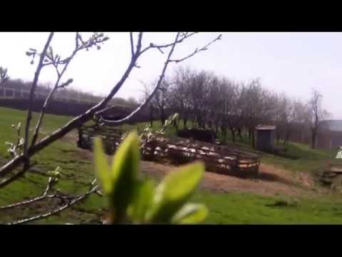 A trip to the countryside - Urmenis (Part 1)