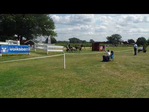 Fahrturnier Ostenfelde 15.8.2021