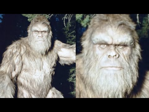 Recordings Show Bigfoot is Too Human and I Finally Understood Why - Sasquatch Story