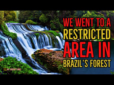 ''We Went to a Restricted Area in Brazil's Forest'' | 3 HOURS OF JUNGLE HORROR STORIES