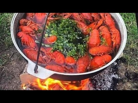 Посадка раков на 1 метр! РАЗВЕДЕНИЕ РАКОВ в маленьком пруду, сколько раков можно держать. Пруд