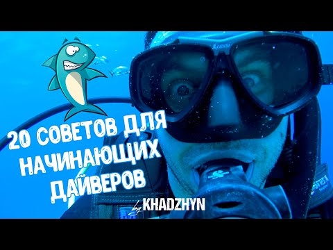 🦈 20 советов для начинающих дайверов | правила дайвинга и полезные советы 🦈