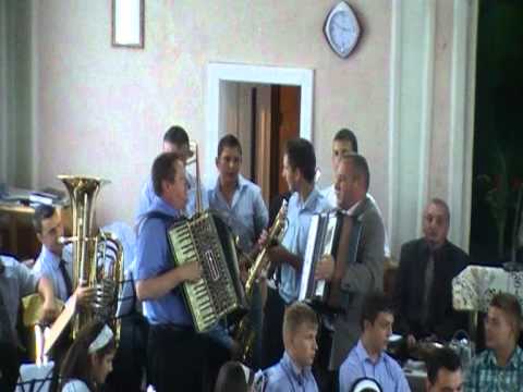 FESTIVLUL FAMFAREI LA TAUT ,,31-IULIE-2011,, (2).MOD