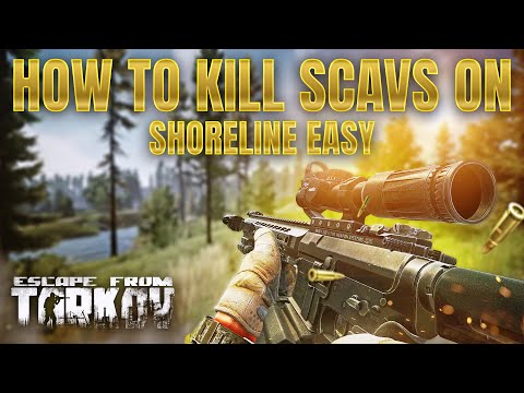 How to kill scavs on Shoreline! | Punisher Part 1 | Spa Tour Part 1 | Escape from Tarkov | 12.3