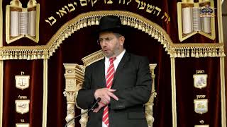 הרב אדיר עמרוצי - הילולת מרן הרב חיים קנייבסקי - תשפה
